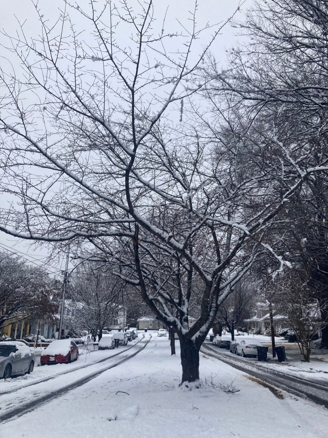 Snow in Danville